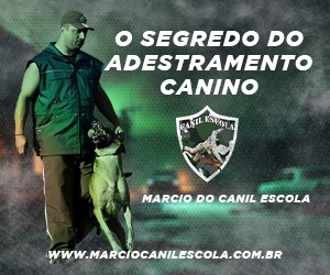 O SEGREDO DO ADESTRAMENTO CANINO